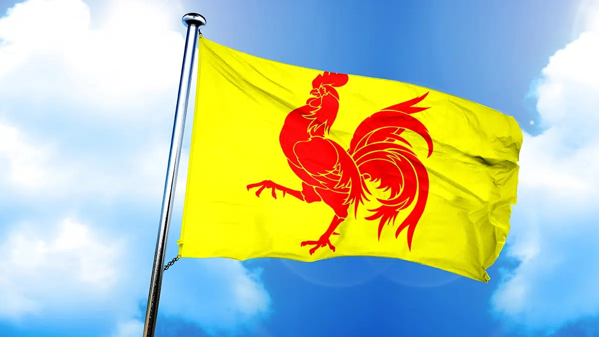 Drapeau Wallon illustrant les nouvelles primes en Wallonie